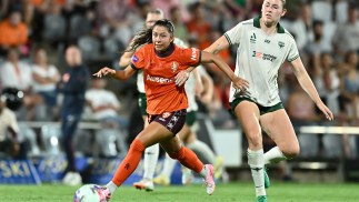 Roar share the points after a last minute Phoenix equaliser